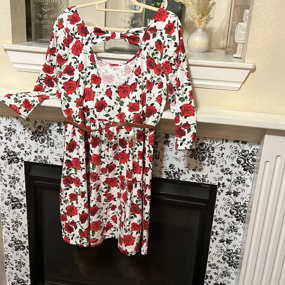 Forever 21 Plus Size Skater Dress - Picture 4 of 5